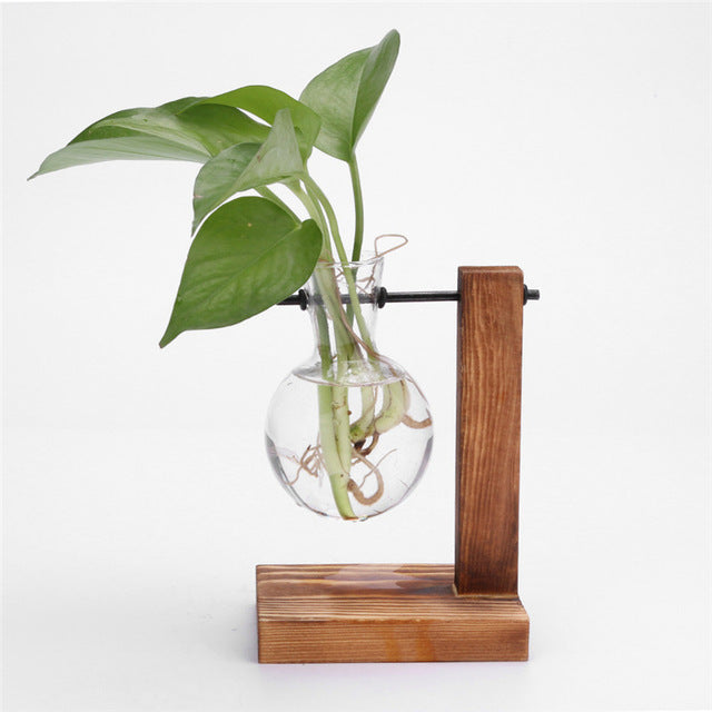 Glass and Wood Terrarium Hanging Vase